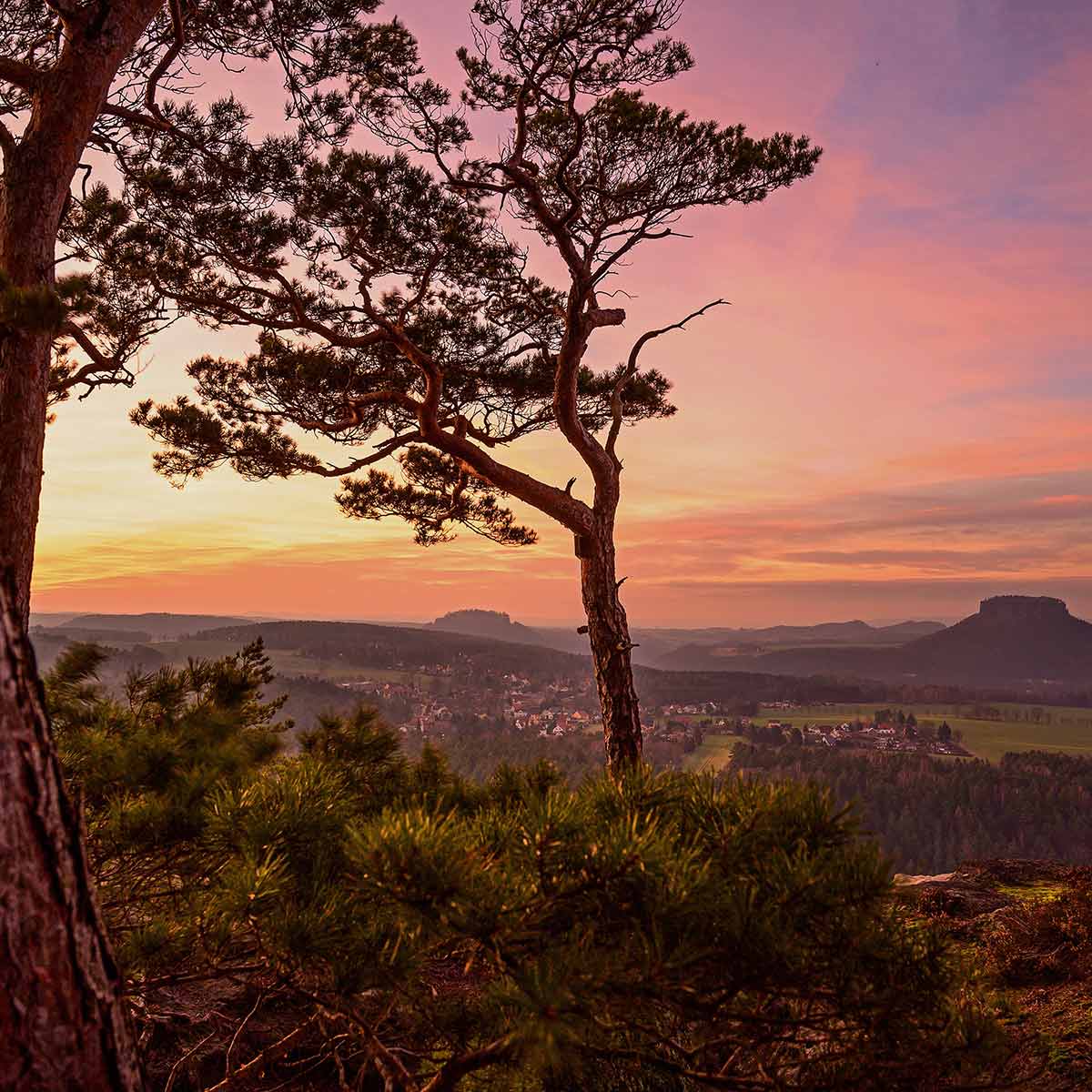 Blick auf den Lilienstein - Copyright Sandsteiner