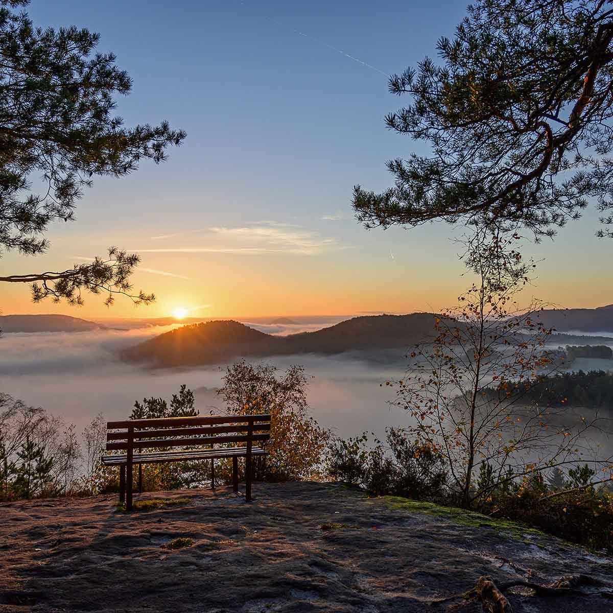 Geheime Aussicht Gohrisch - Copyright Sandsteiner