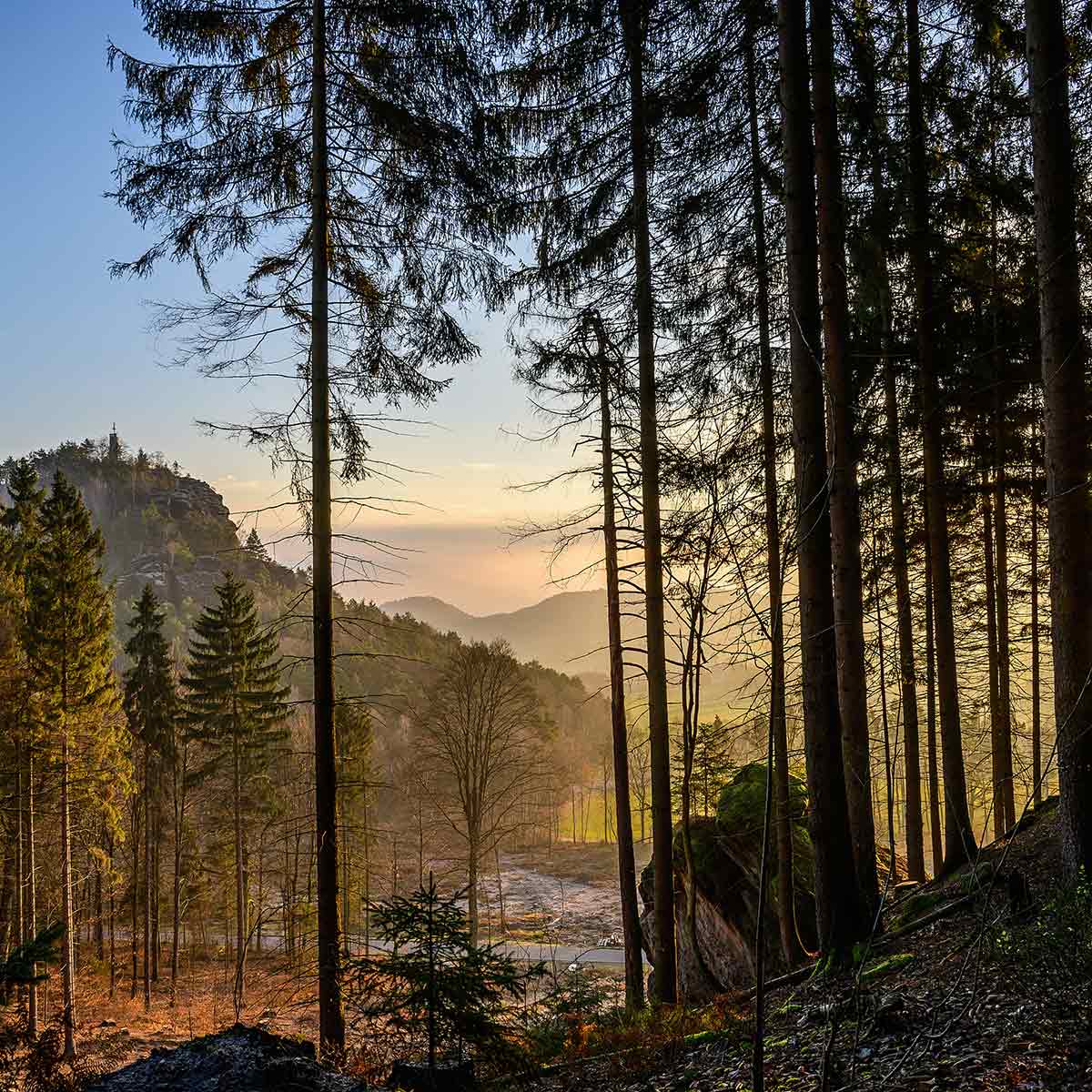 Gohrischstein mit Blick auf den Papststein - Copyright Sandsteiner