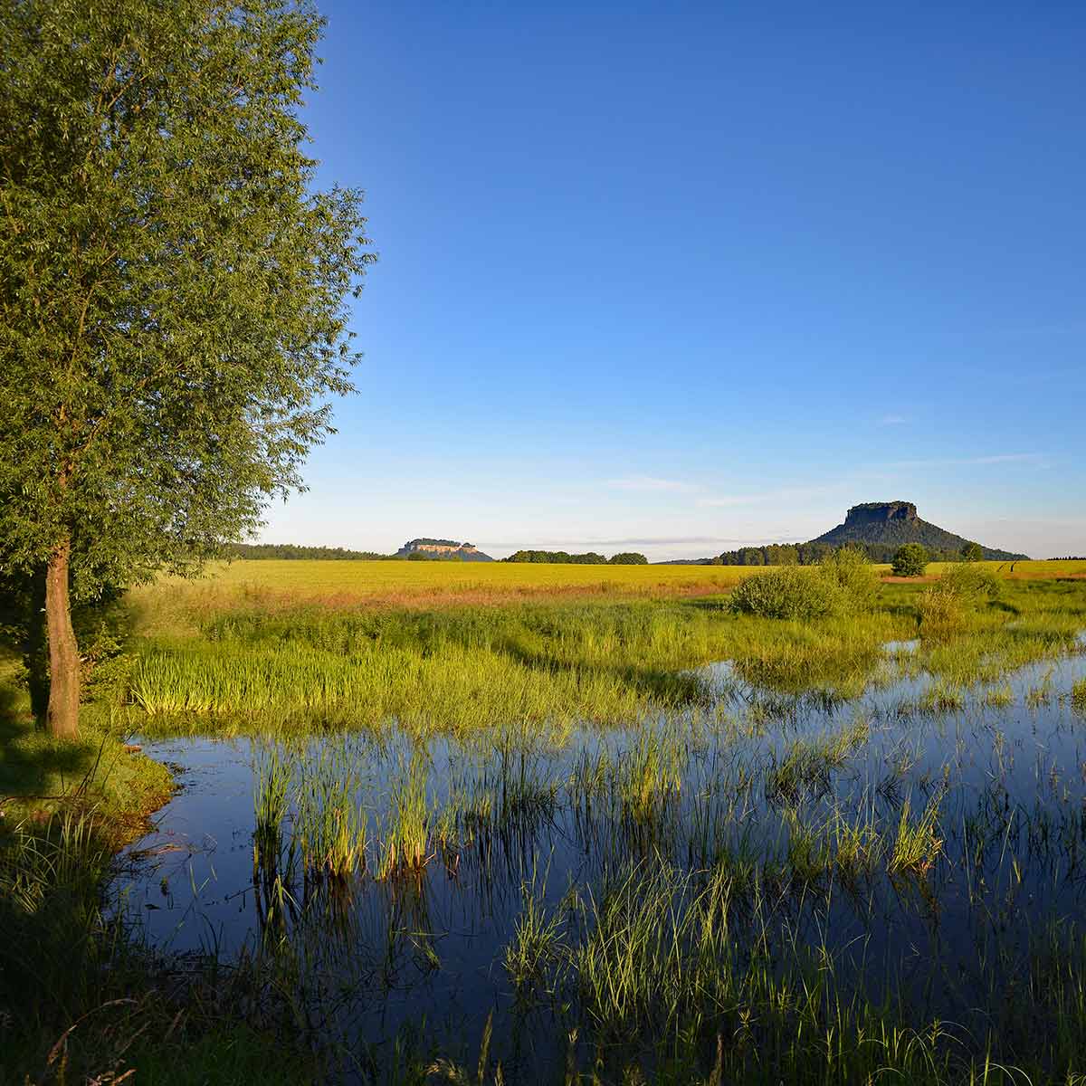 Hörnelteich in Gohrisch - Copyright Sandsteiner